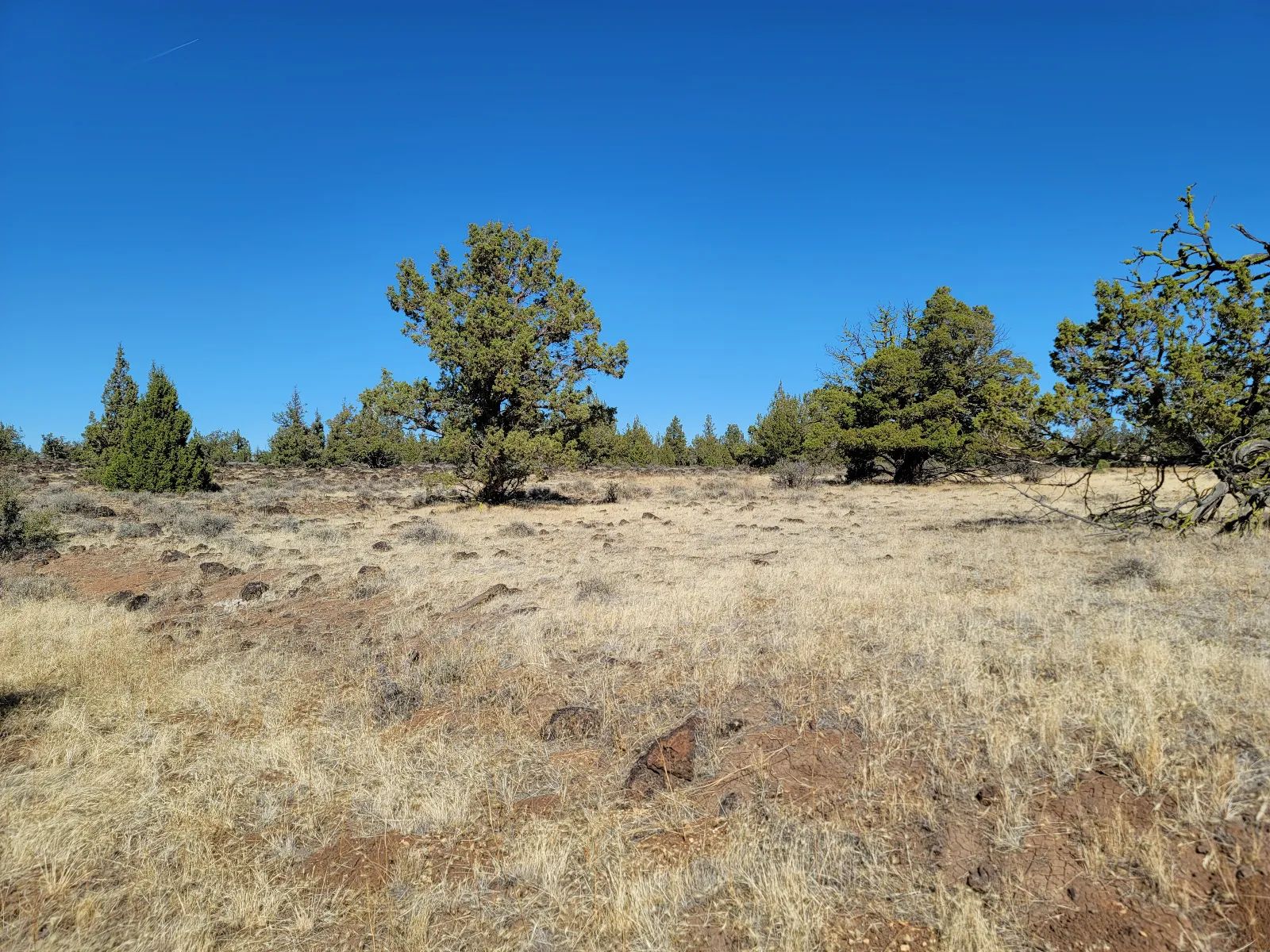 Discover Vacant Land with Beautiful Views – Perfect for Camping and Hiking in Modoc County, CA