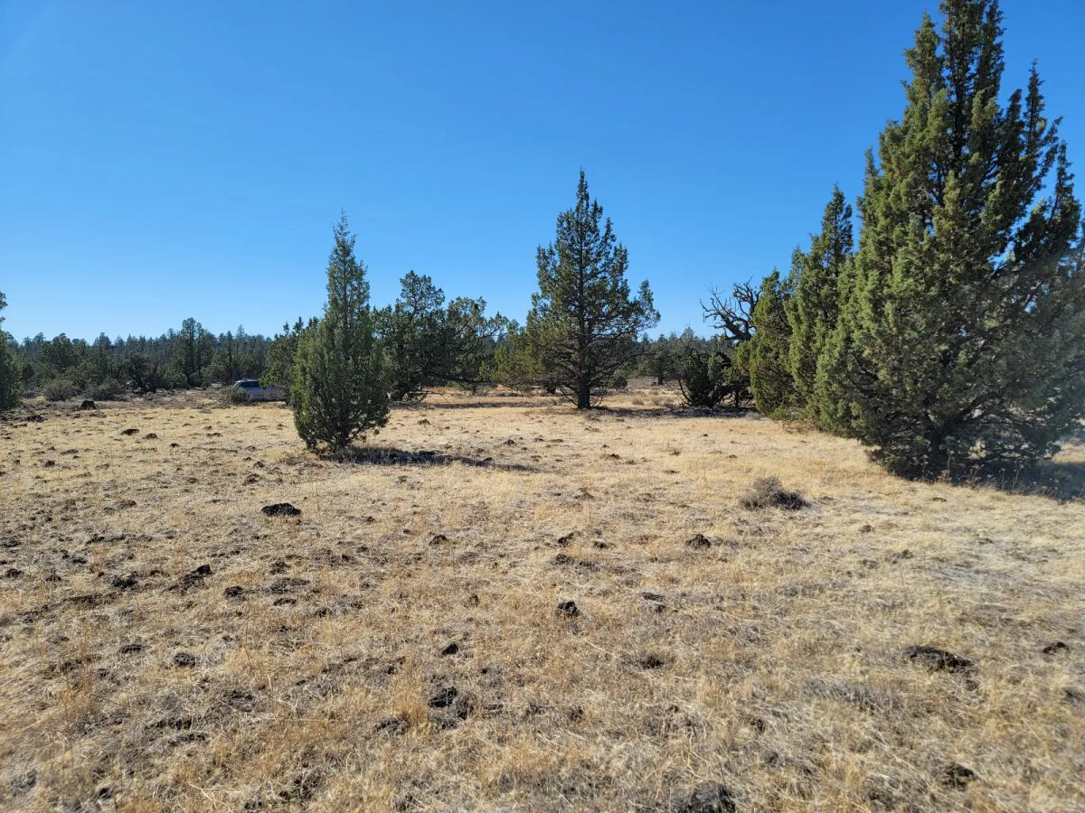 Decorative background for Discover Vacant Land with Beautiful Views – Perfect for Camping and Hiking image 5