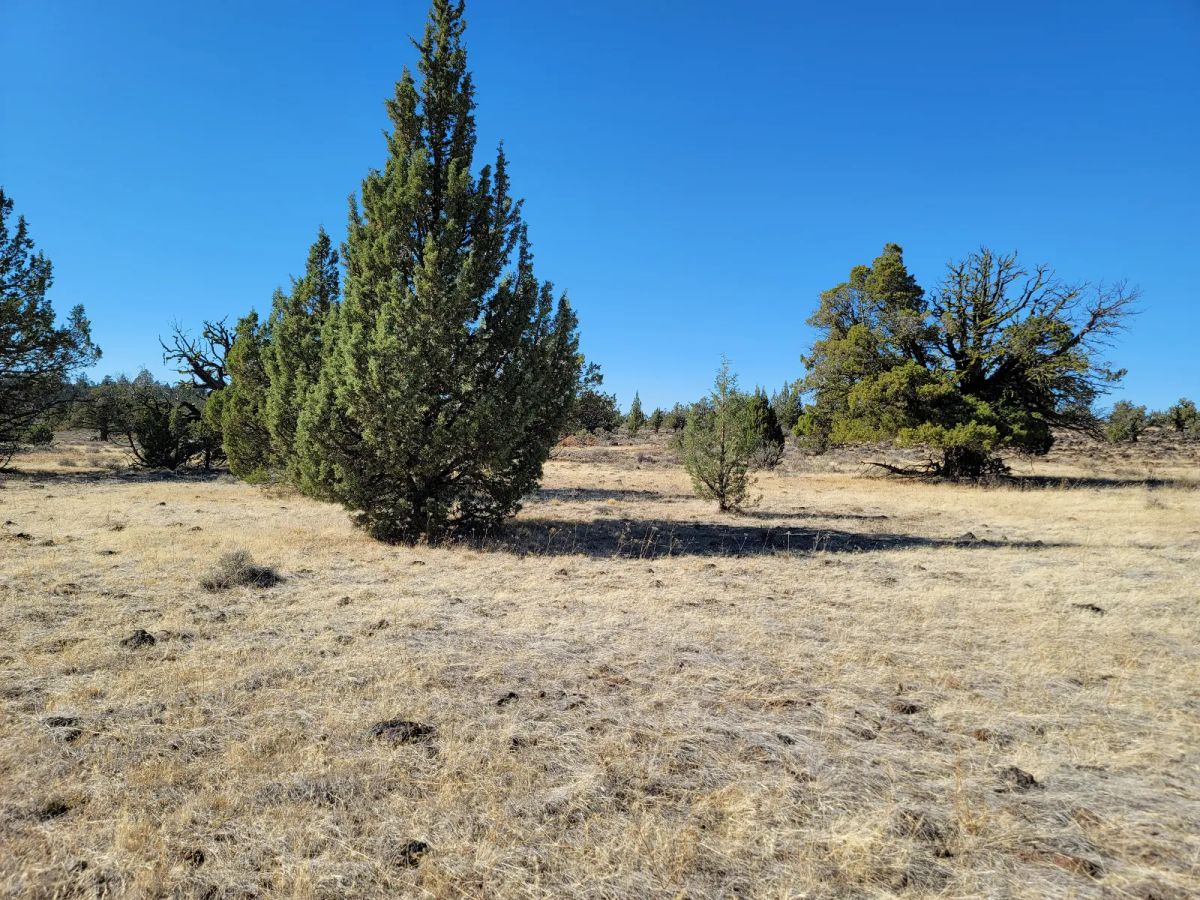 Decorative background for Discover Vacant Land with Beautiful Views – Perfect for Camping and Hiking image 6