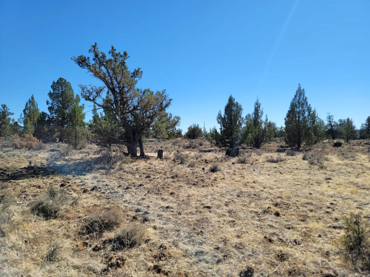 Decorative background for Discover Vacant Land with Beautiful Views – Perfect for Camping and Hiking image 7