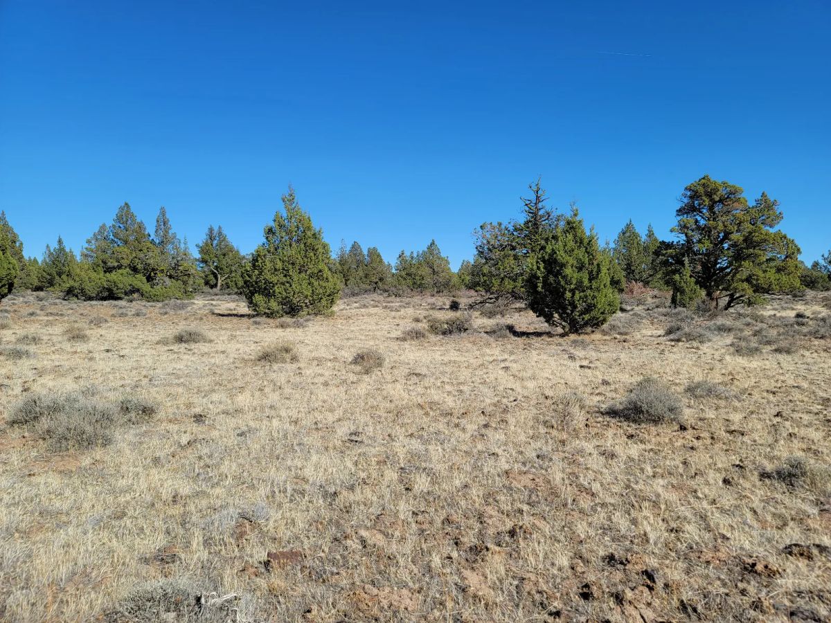 Decorative background for Discover Vacant Land with Beautiful Views – Perfect for Camping and Hiking image 8