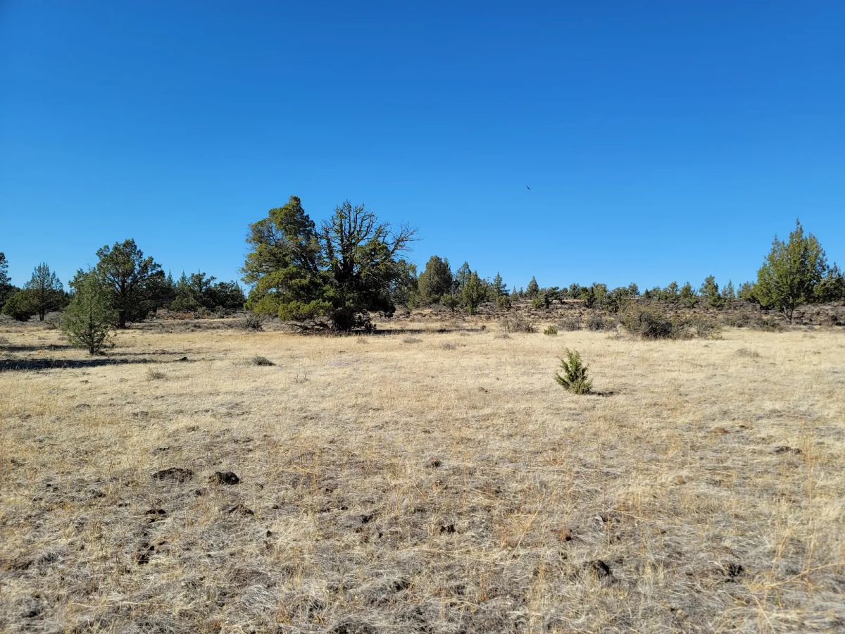Decorative background for Discover Vacant Land with Beautiful Views – Perfect for Camping and Hiking image 9