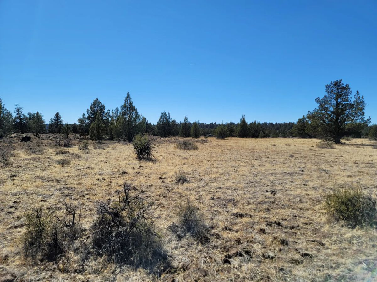 Decorative background for Discover Vacant Land with Beautiful Views – Perfect for Camping and Hiking image 10