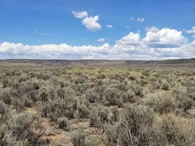 Mountain Views, Close to New Mexico in Costilla County, CO