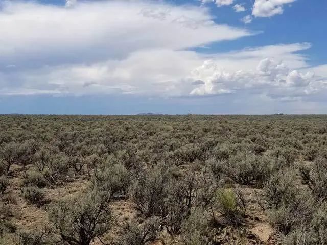 Decorative background for Mountain Views, Close to New Mexico image 5