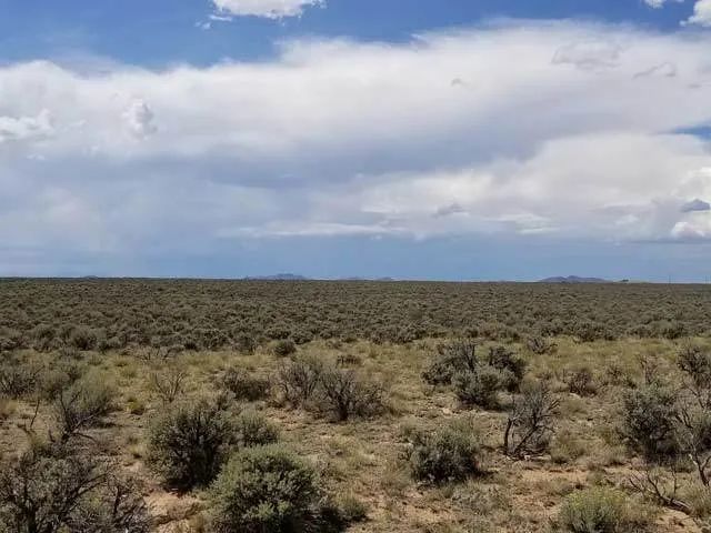 Decorative background for Mountain Views, Close to New Mexico image 6