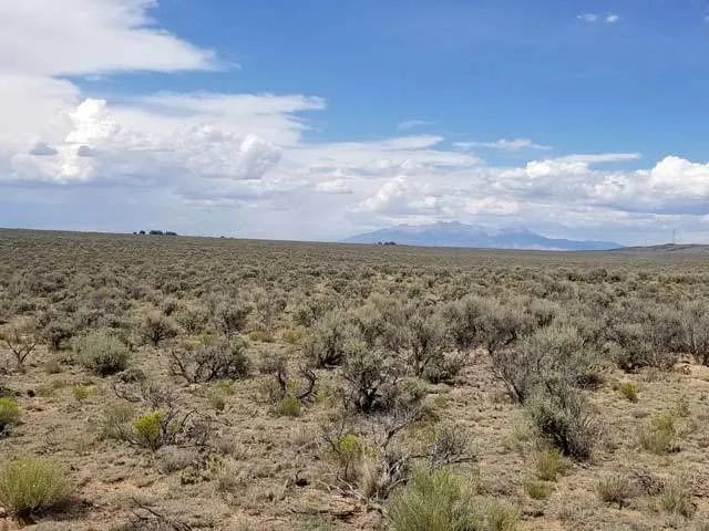 Decorative background for Mountain Views, Close to New Mexico image 8