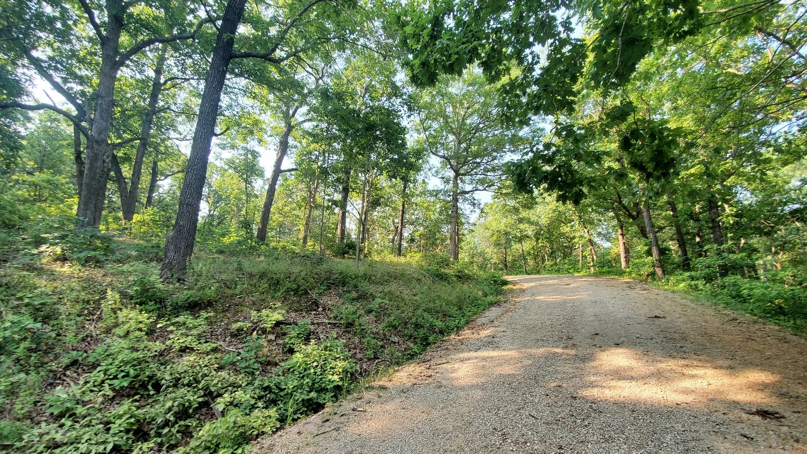 Large Corner Lot in Benton County, MO
