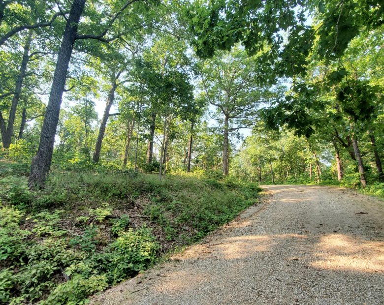 Large Corner Lot in Benton County, MO