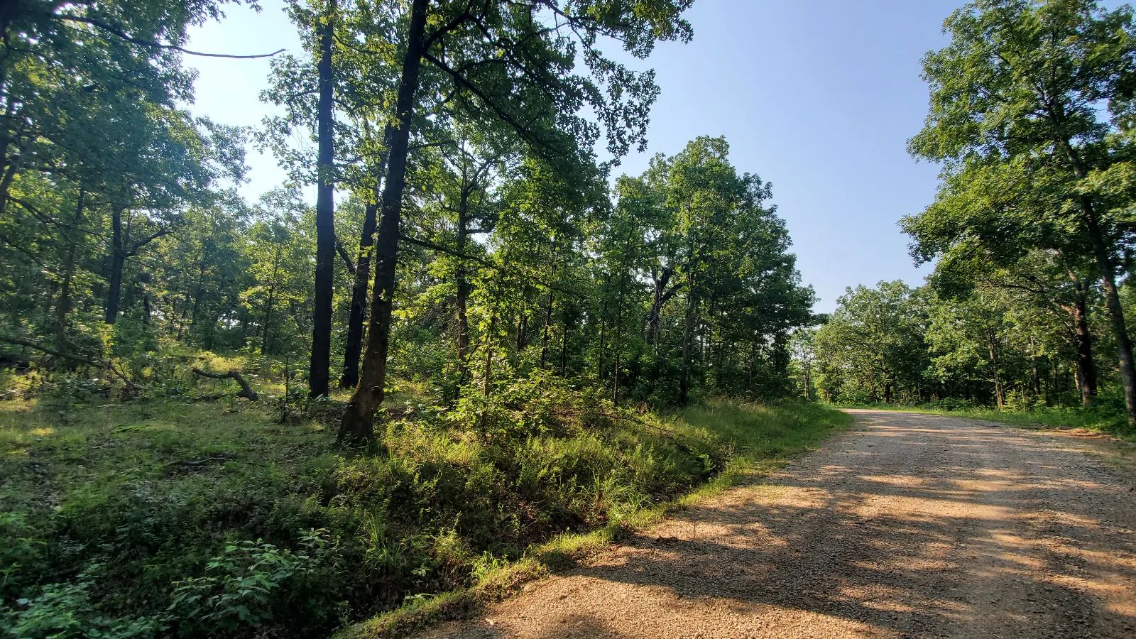Large Corner Lot in Benton County, MO