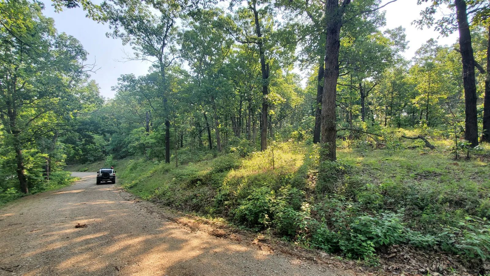 Large Corner Lot in Benton County, MO