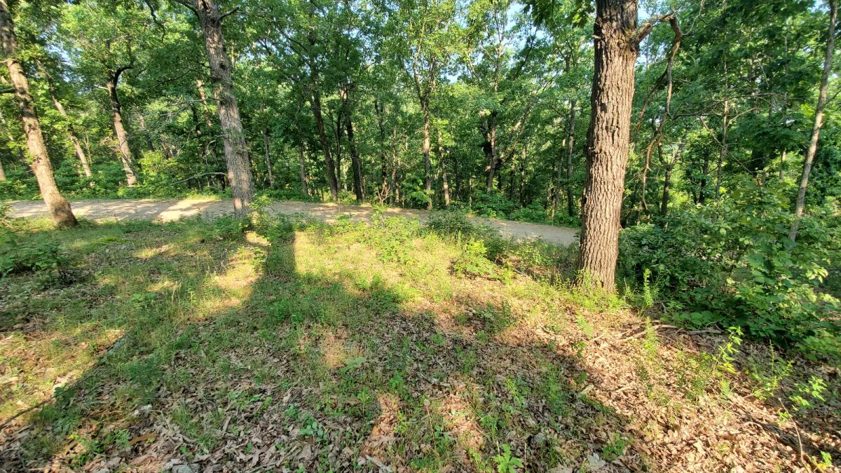 Large Corner Lot - Image 4