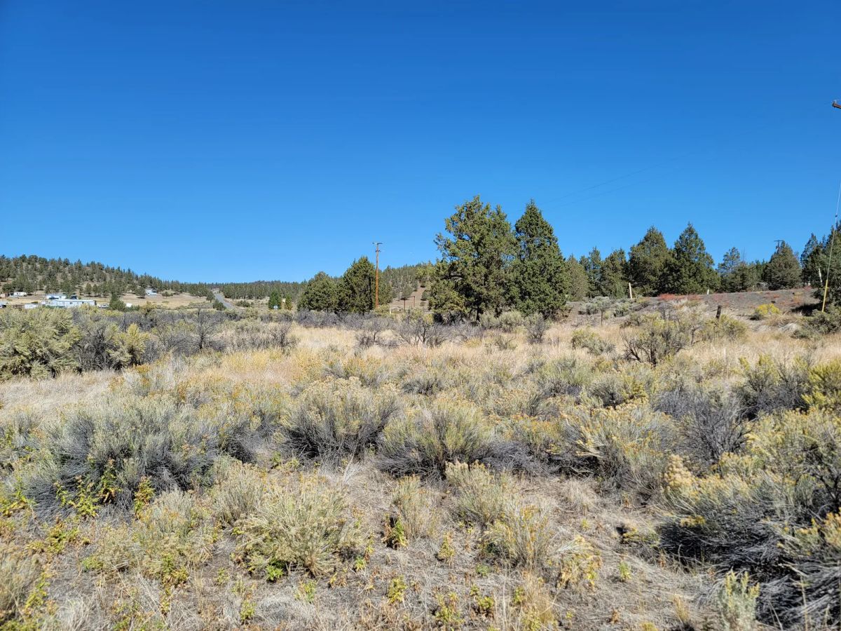 Seasonal Creek Runs Border - Image 2