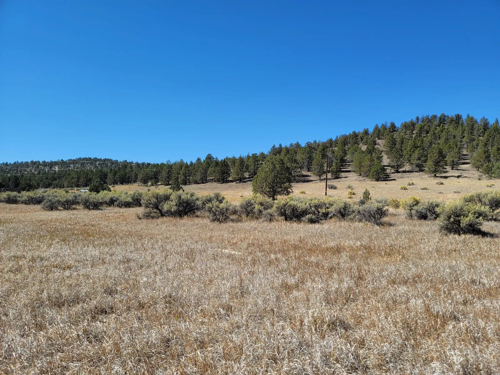 Seasonal Creek Runs Border in Modoc County, CA