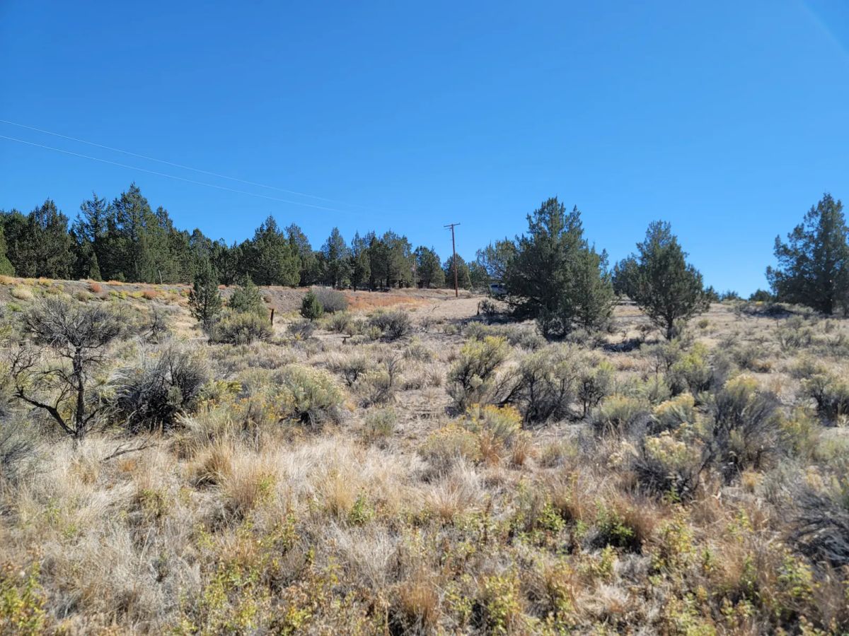Seasonal Creek Runs Border - Image 4