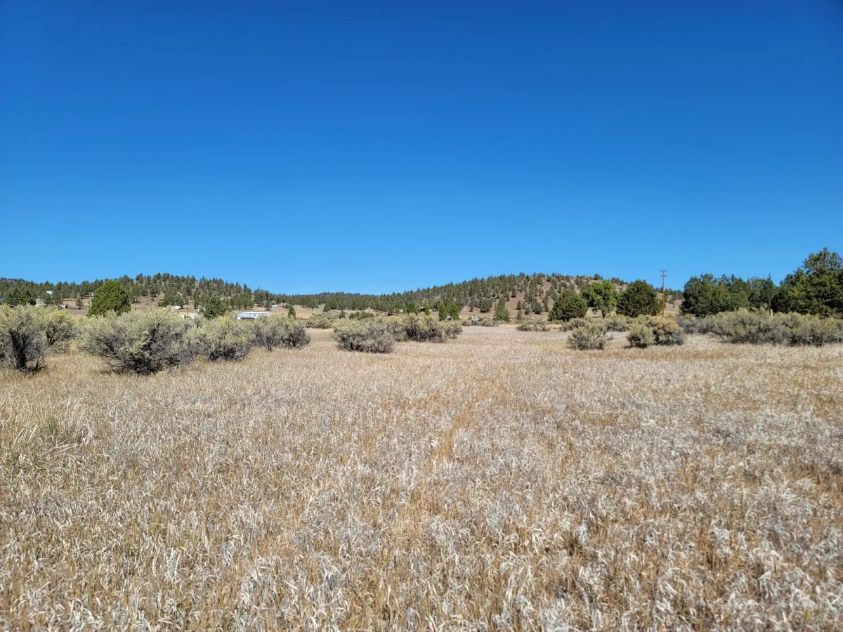 Decorative background for Seasonal Creek Runs Border image 5