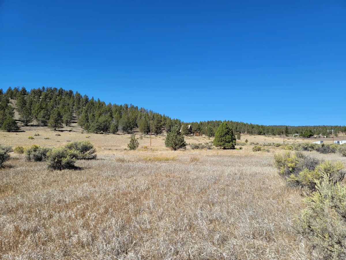 Decorative background for Seasonal Creek Runs Border image 7