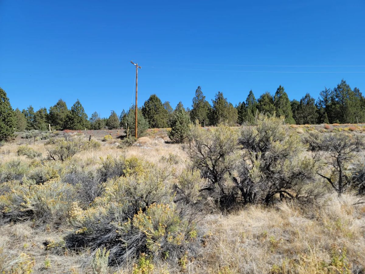 Decorative background for Seasonal Creek Runs Border image 10