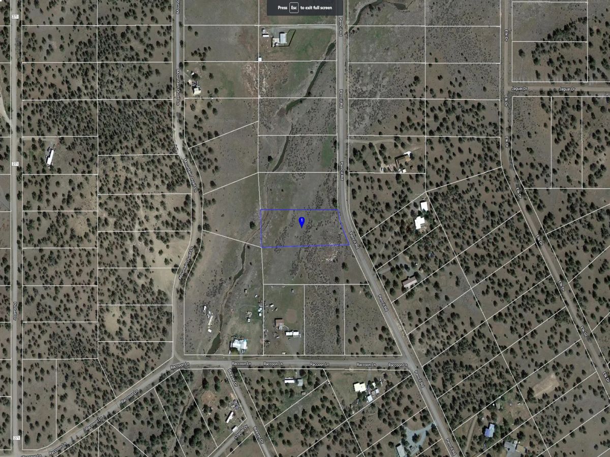 Decorative background for Seasonal Creek Runs Border image 17