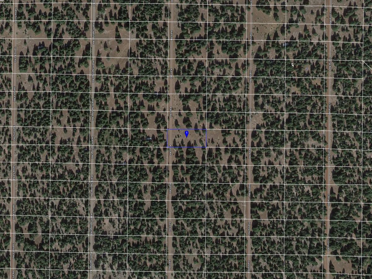Decorative background for Nearly an Acre of Tall Pines image 16