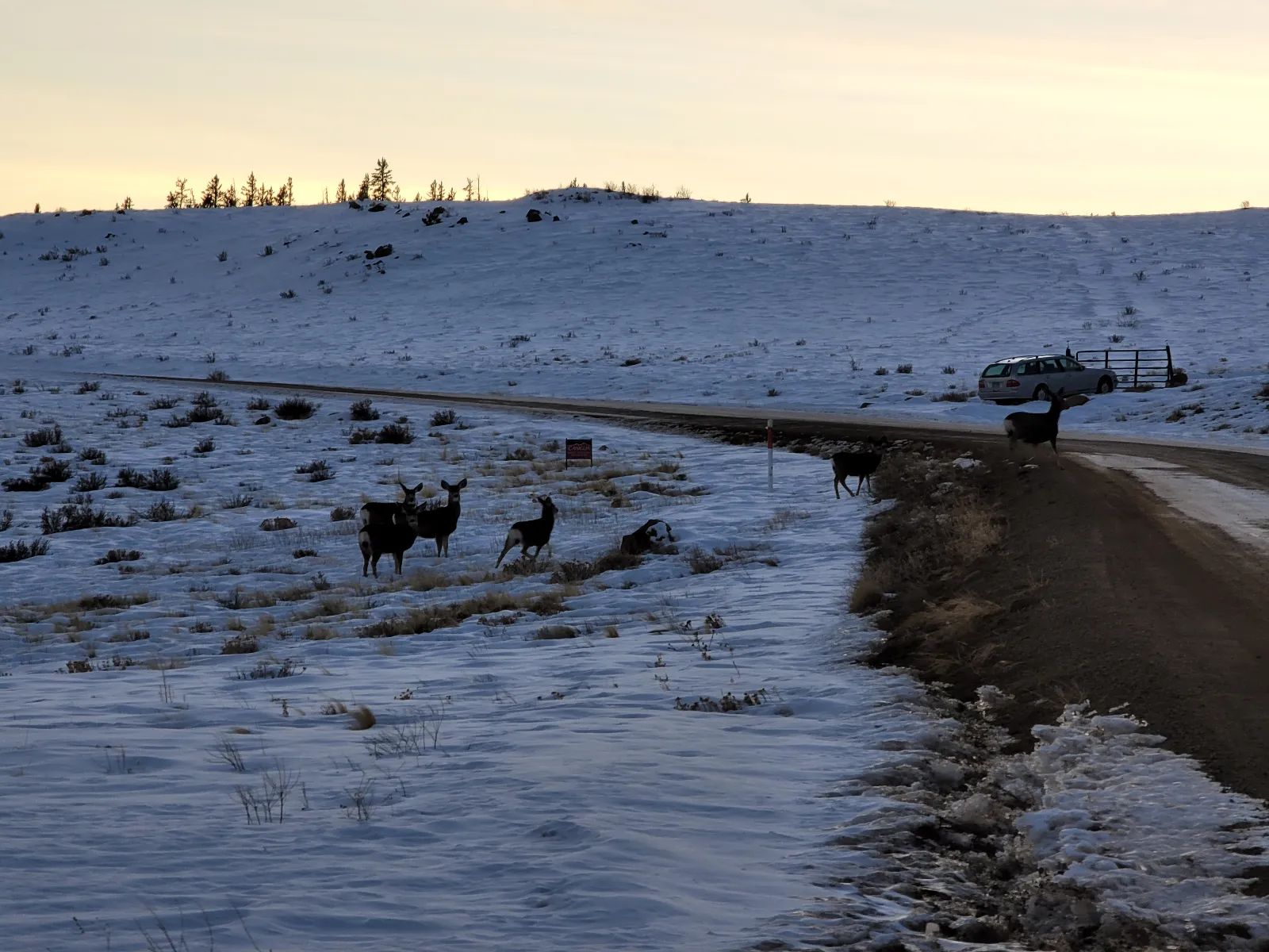 Well Maintained Road, Power Nearby in Park County, CO