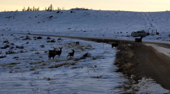 Well Maintained Road, Power Nearby in Park County, CO