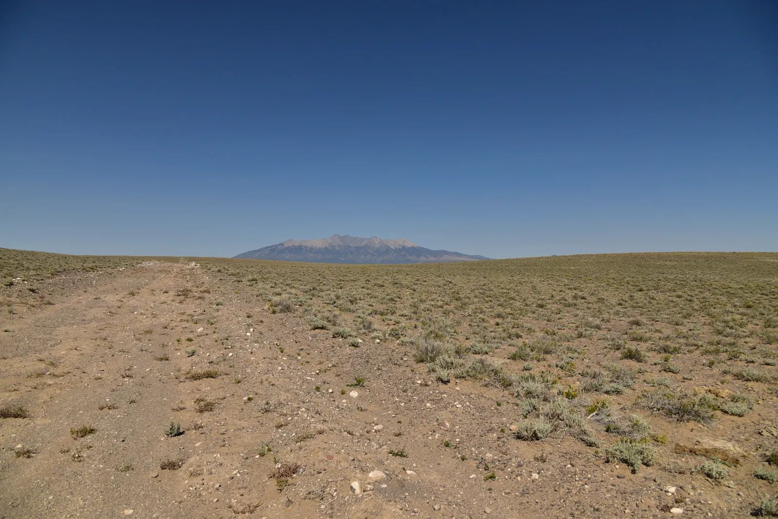 Recent Survey, Large Open Property in Costilla County, CO