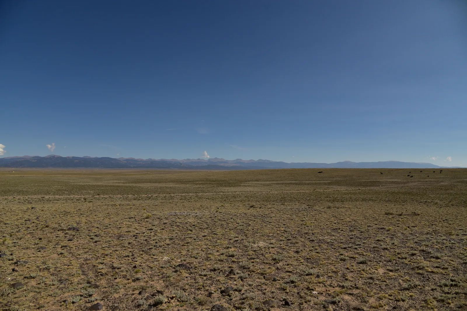 Recent Survey, Large Open Property in Costilla County, CO