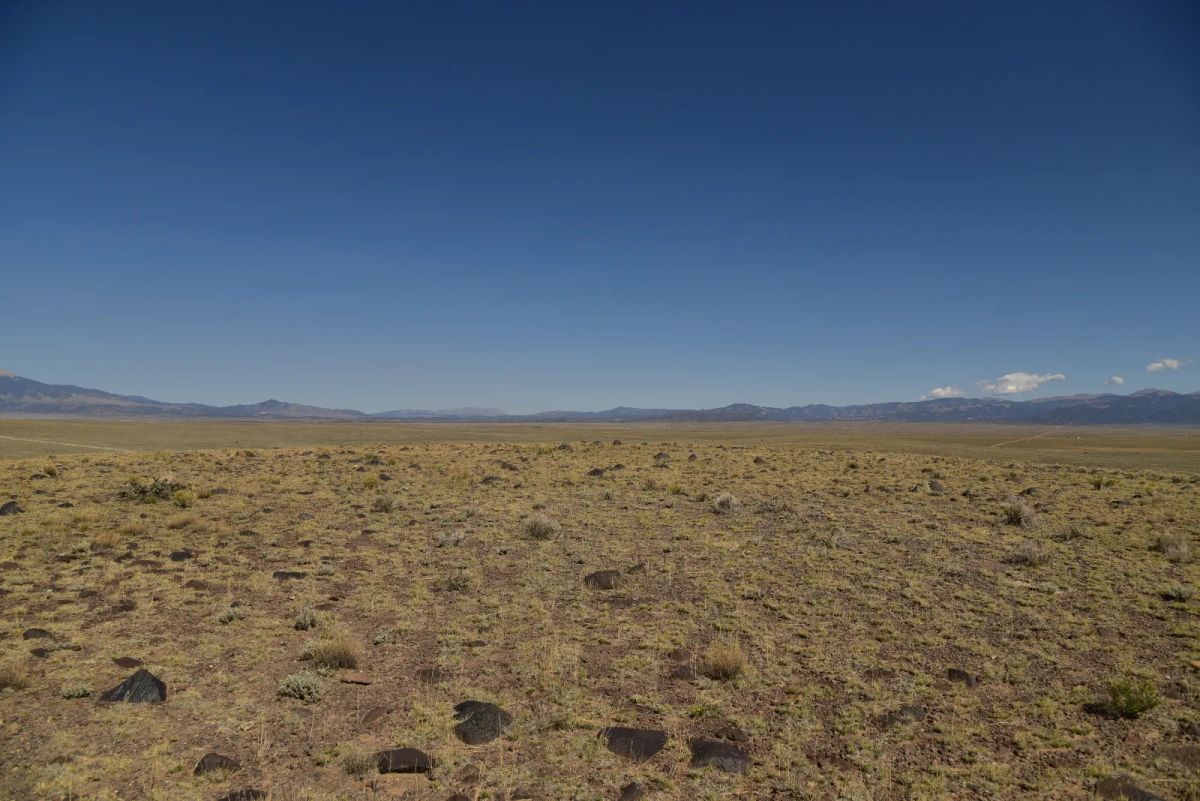 Decorative background for Recent Survey, Large Open Property image 6