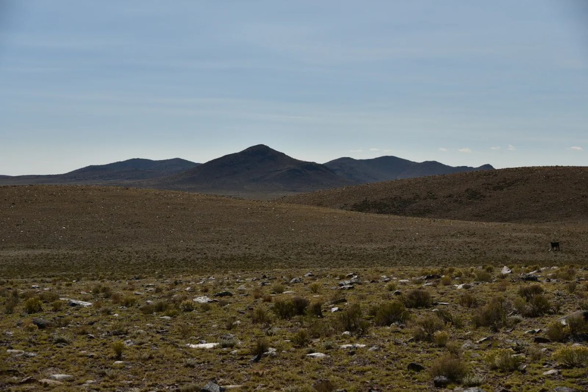 Decorative background for Recent Survey, Large Open Property image 8