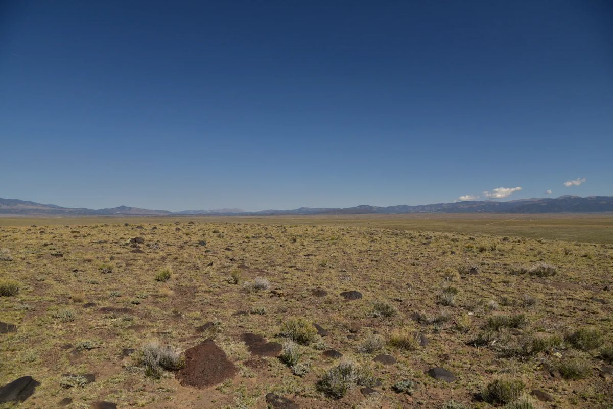 Decorative background for Recent Survey, Large Open Property image 9
