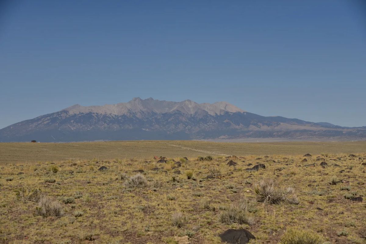 Decorative background for Recent Survey, Large Open Property image 10
