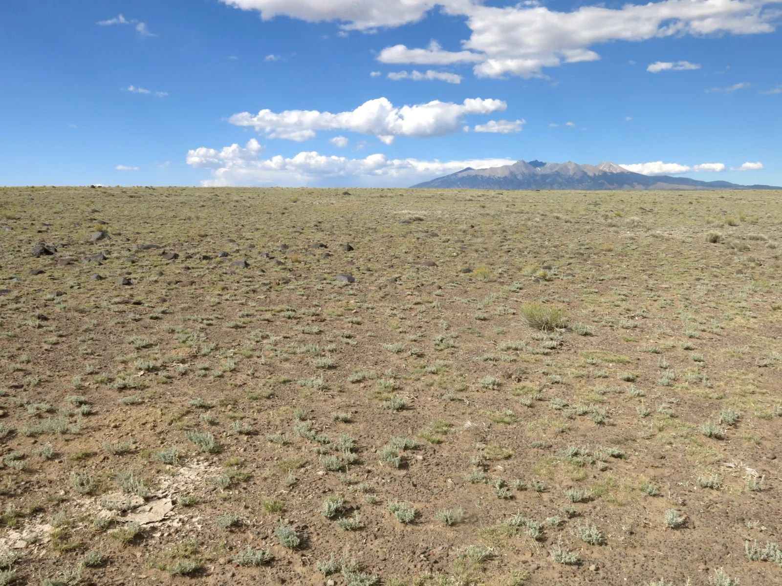 Expansive 120 Acre Property, 2 Lots Included in Costilla County, CO