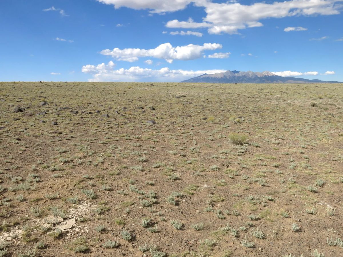 Expansive 120 Acre Property, 2 Lots Included - Main image