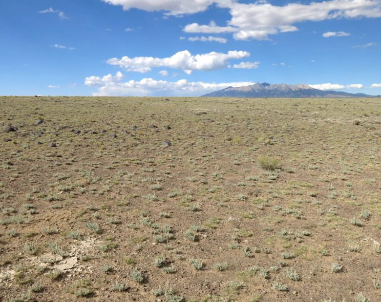 Expansive 120 Acre Property, 2 Lots Included in Costilla County, CO