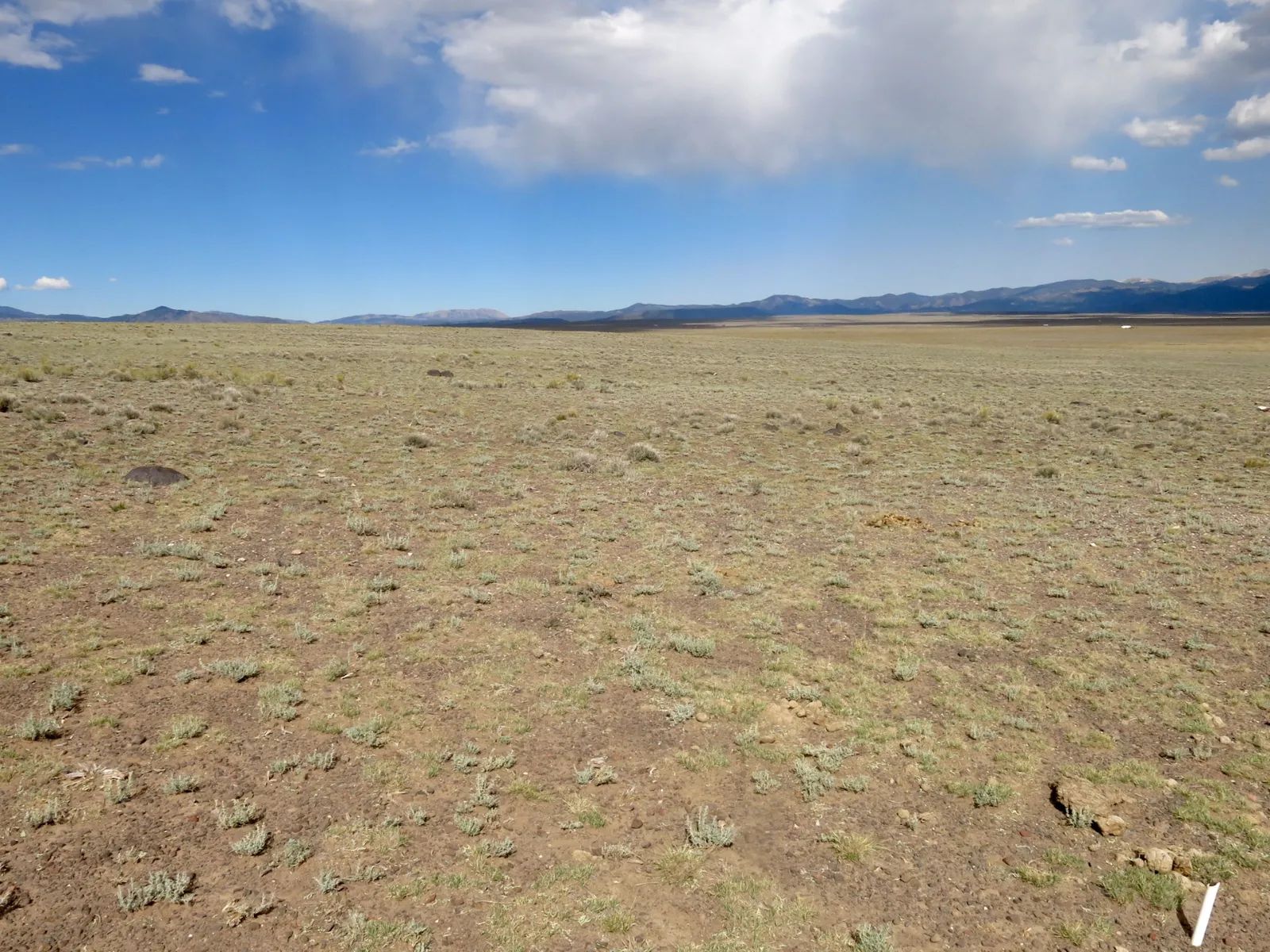 Expansive 120 Acre Property, 2 Lots Included in Costilla County, CO