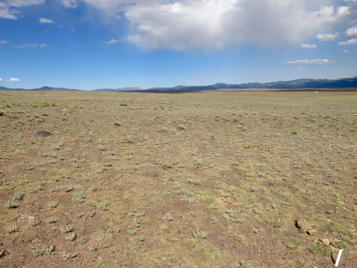 Expansive 120 Acre Property, 2 Lots Included - Image 2