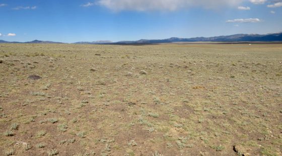 Expansive 120 Acre Property, 2 Lots Included in Costilla County, CO