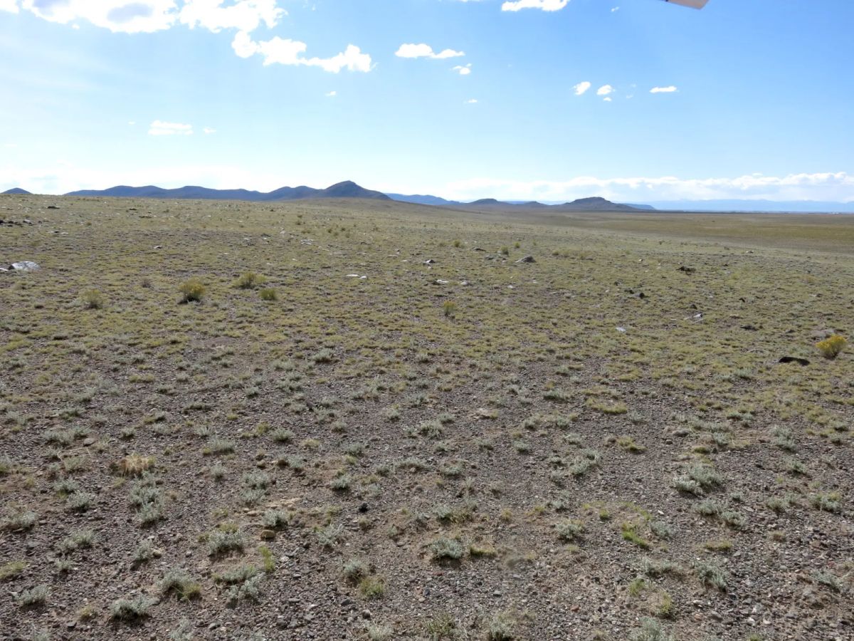 Decorative background for Expansive 120 Acre Property, 2 Lots Included image 5