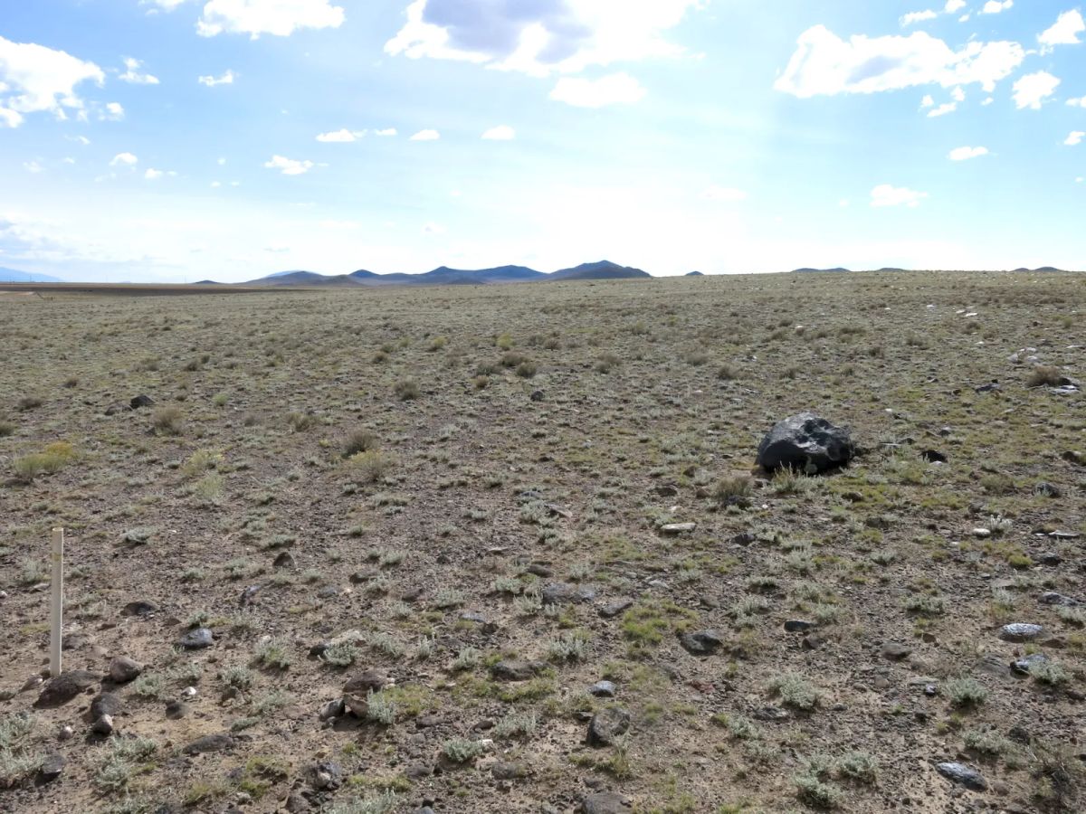 Decorative background for Expansive 120 Acre Property, 2 Lots Included image 6