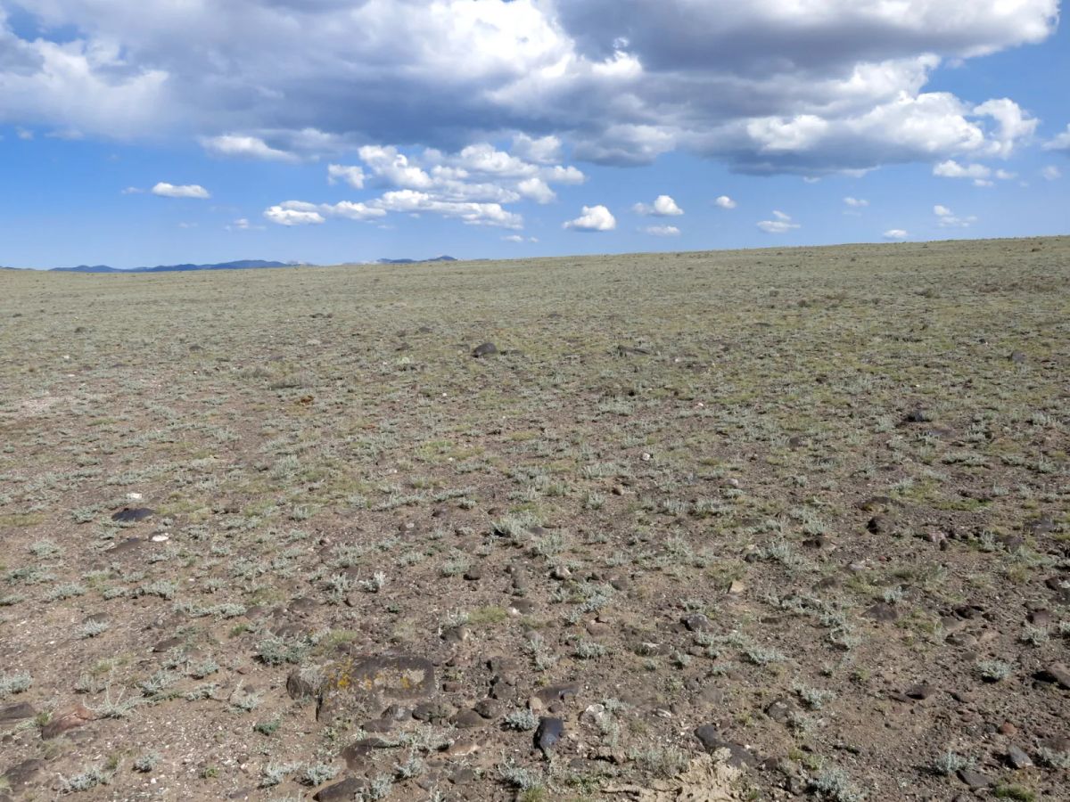 Decorative background for Expansive 120 Acre Property, 2 Lots Included image 7