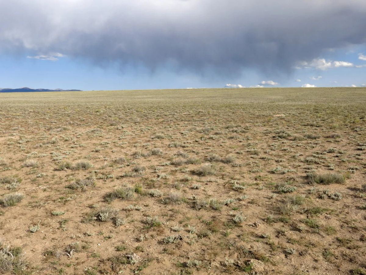 Decorative background for Expansive 120 Acre Property, 2 Lots Included image 8