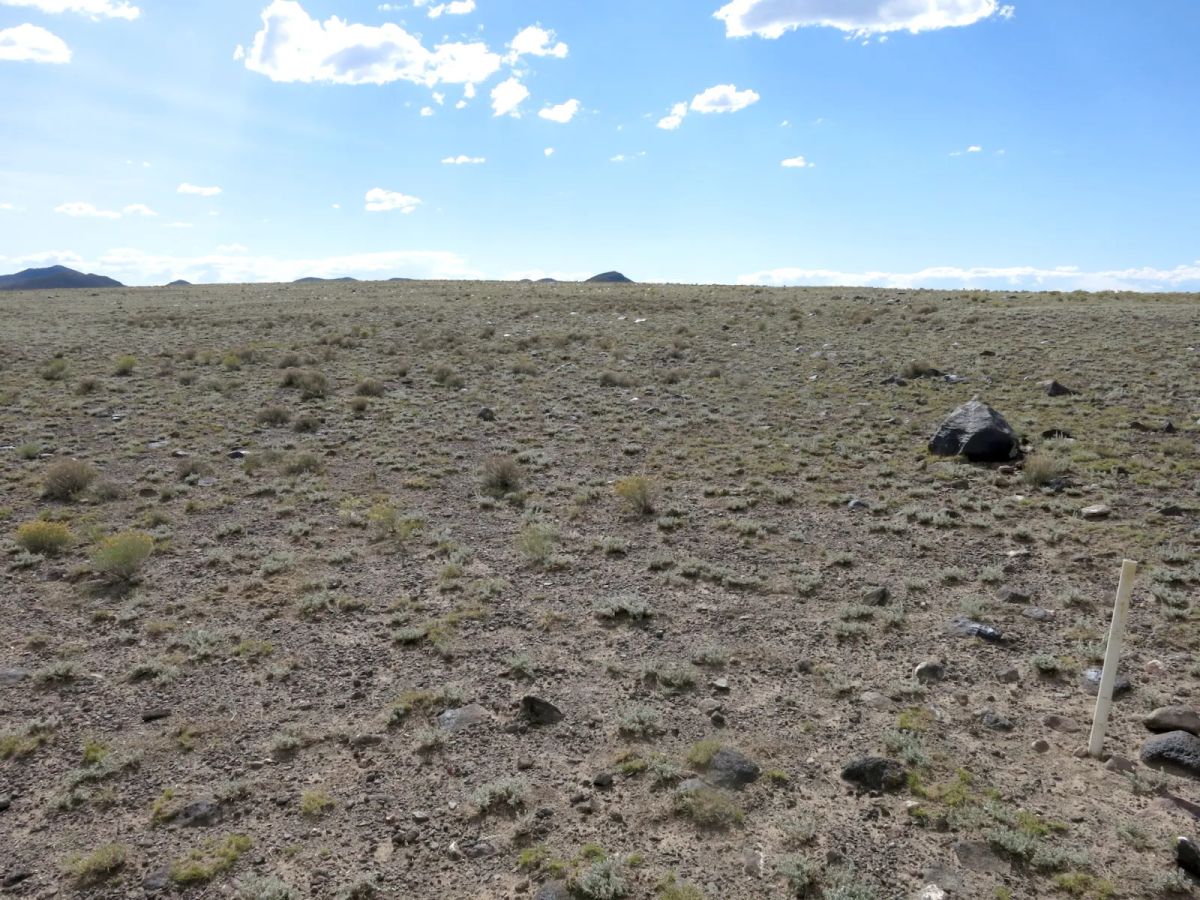 Decorative background for Expansive 120 Acre Property, 2 Lots Included image 9
