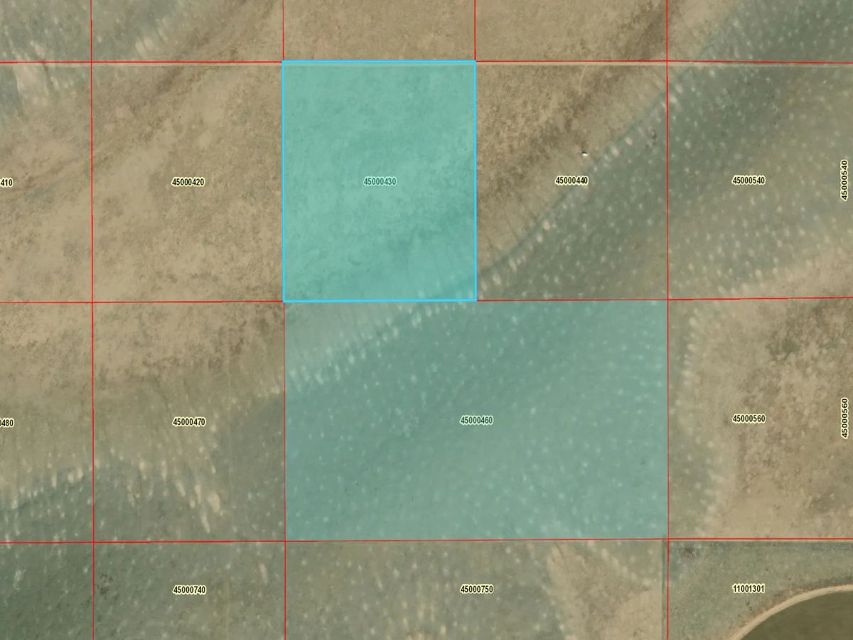 Decorative background for Expansive 120 Acre Property, 2 Lots Included image 12