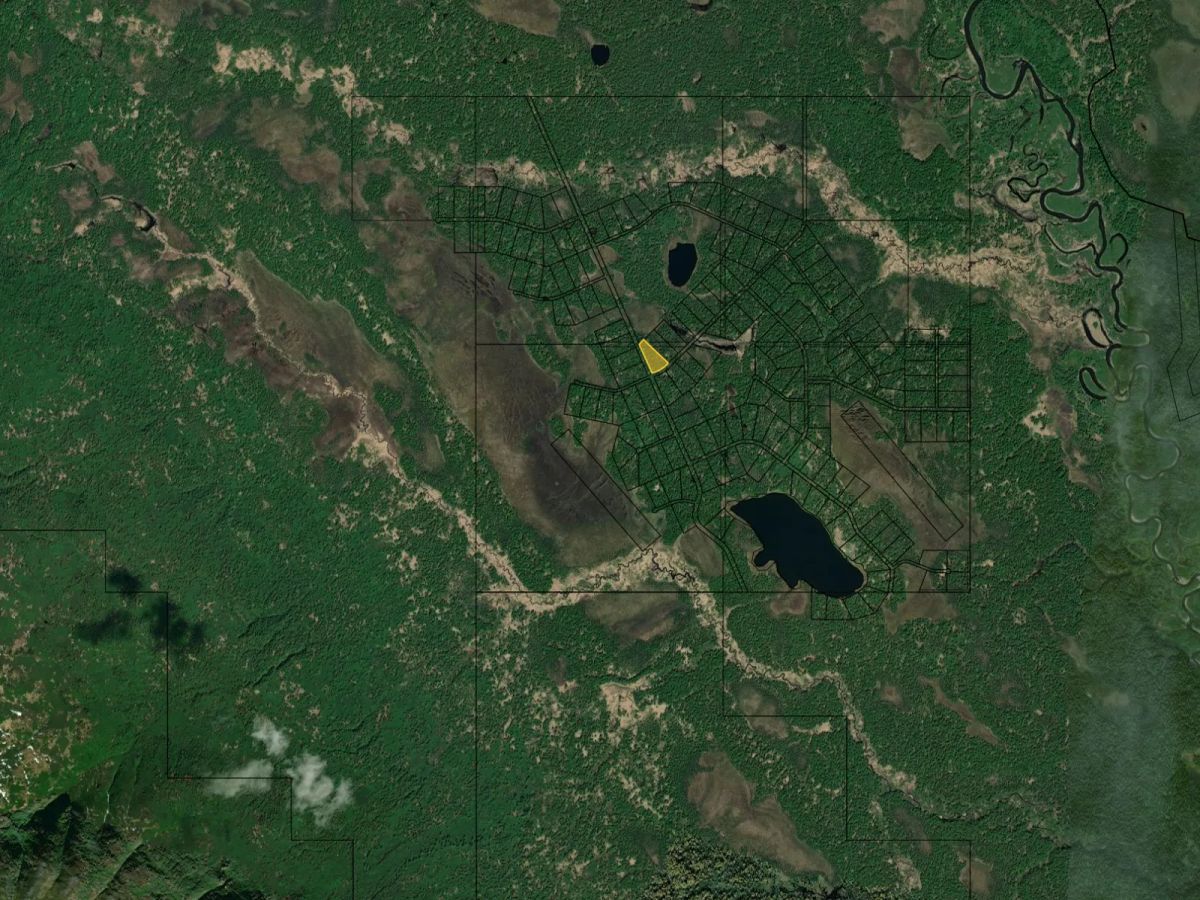Decorative background for Close to Alexander Creek image 11