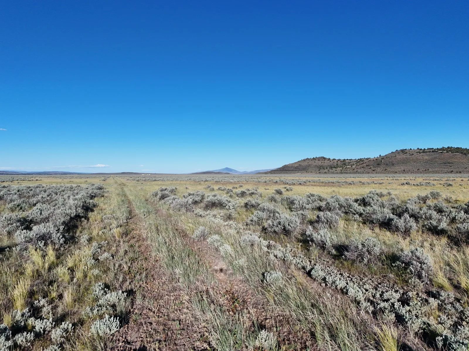 Near Termo, NE California in Lassen County, CA