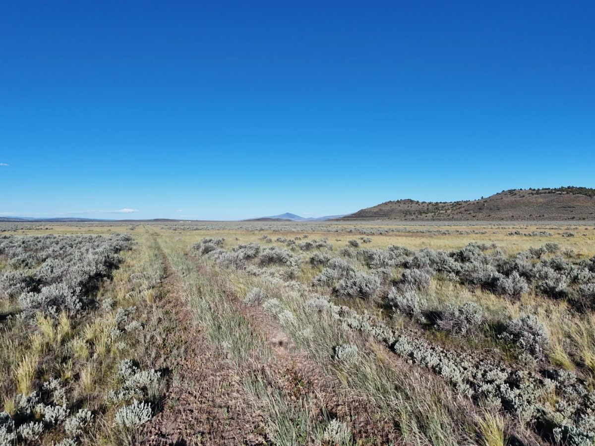 Near Termo, NE California - Image 2
