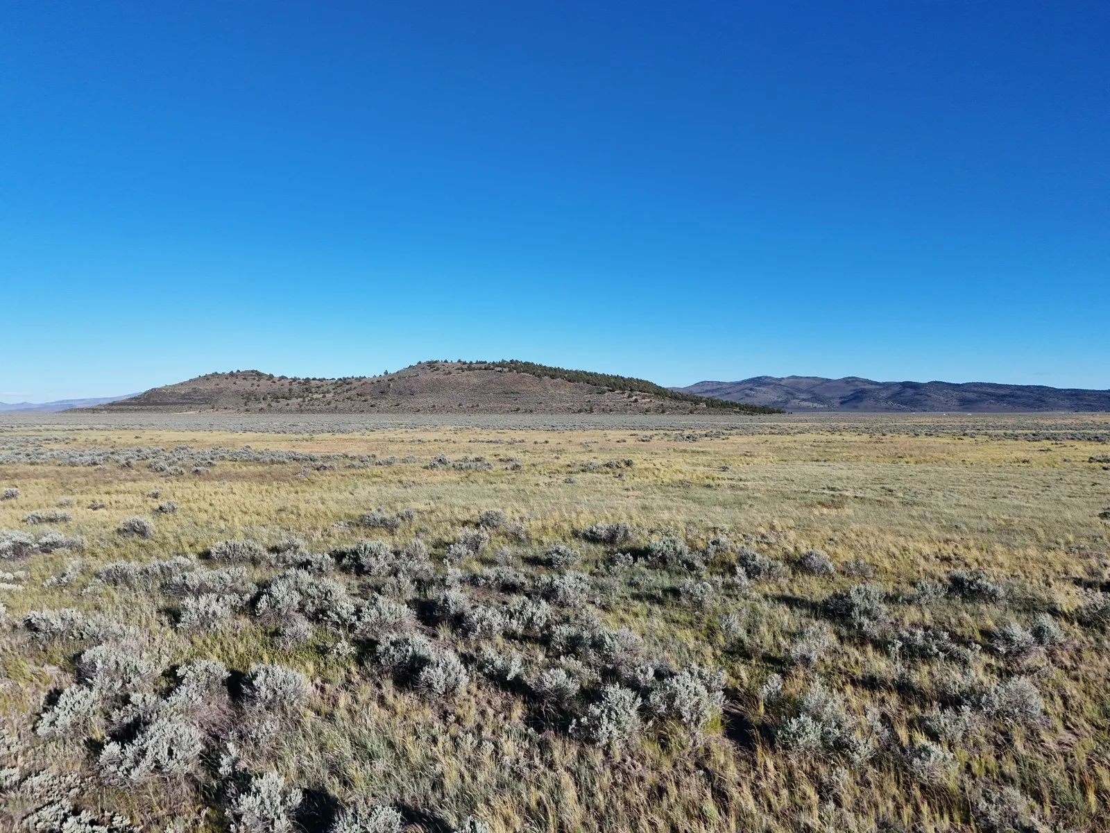 Near Termo, NE California in Lassen County, CA