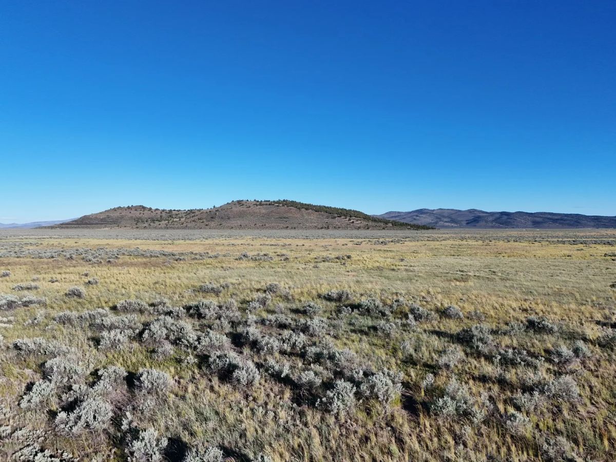 Near Termo, NE California - Image 3