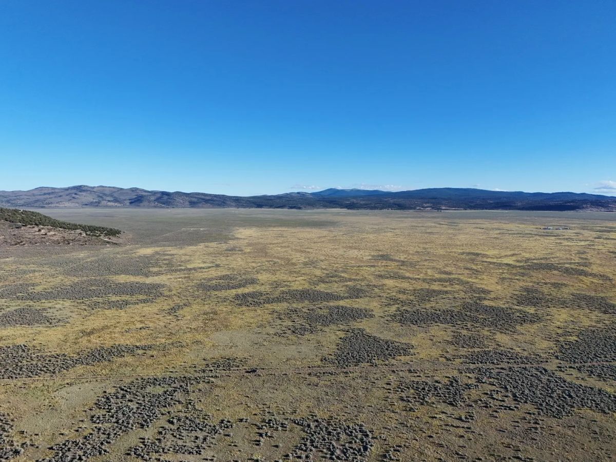 Decorative background for Near Termo, NE California image 5